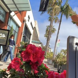 Meet your Posher, Jena